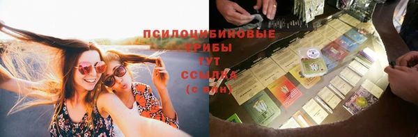 трава Надым